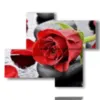 quadri moderni rose rosse nei sassi neri - version: 4 pannelli 94x77cm