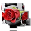 modern paintings red roses in black stones - version: 6 pannelli 113x99cm