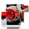 modern paintings red roses in black stones - version: 6 pannelli 122x96cm