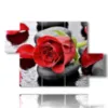 quadri moderni rose rosse nei sassi neri - version: 5 pannelli 128x85cm