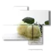 painting white roses in book pages - version: 4 pannelli 94x77cm