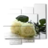 painting white roses in book pages - version: 5 pannelli 106x98cm