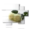 painting white roses in book pages - version: 6 pannelli 127x102cm