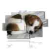 painting with paintings dogs puppies while they sleep - version: 9 pannelli 171x108cm