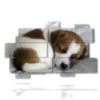 painting with paintings dogs puppies while they sleep - version: 11 pannelli 182x115cm