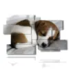 tableau avec peintures chiens chiots pendant qu ils dorment - version: 12 pannelli 190x119cm