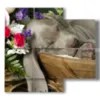 quadro con dipinto un cane e tra dieci minuti solo per dirti - version: 4 pannelli 91x85cm