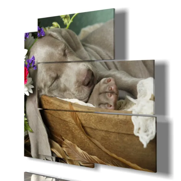 tableau avec un chien