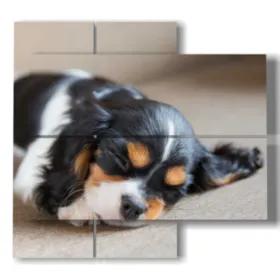 ''Hundekratzrahmen''