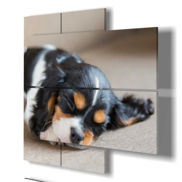 Hunde-Pfotenabdruck drucken