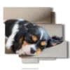 tableau patte petit chien endormi - version: 6 pannelli 113x99cm