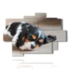 cuadro de pata de perro pequeno mientras duerme - version: 9 pannelli 164x114cm
