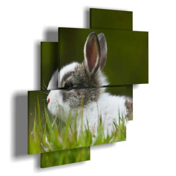 Animal pictures with a bunny for children