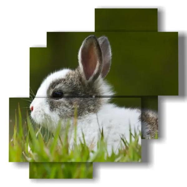 cuadros de animales para niños