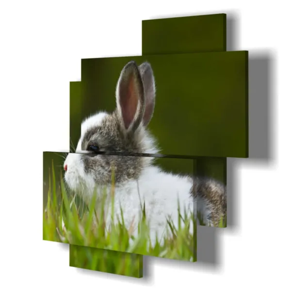 Tierdrucke für Kinder