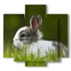 tableaux animaux pour enfants avec lapin - version: 5 pannelli 89x85cm