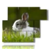 animal paintings for children with bunny - version: 6 pannelli 122x96cm