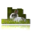 tableaux animaux pour enfants avec lapin - version: 7 pannelli 171x101cm