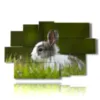 animal paintings for children with bunny - version: 9 pannelli 171x108cm