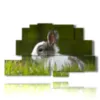 animal paintings for children with bunny - version: 9 pannelli 173x103cm