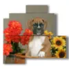 quadro ritratto cane in un vaso di fiori - version: 4 pannelli 83x78cm