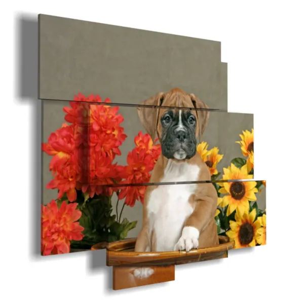 Cuadros retrato de perro