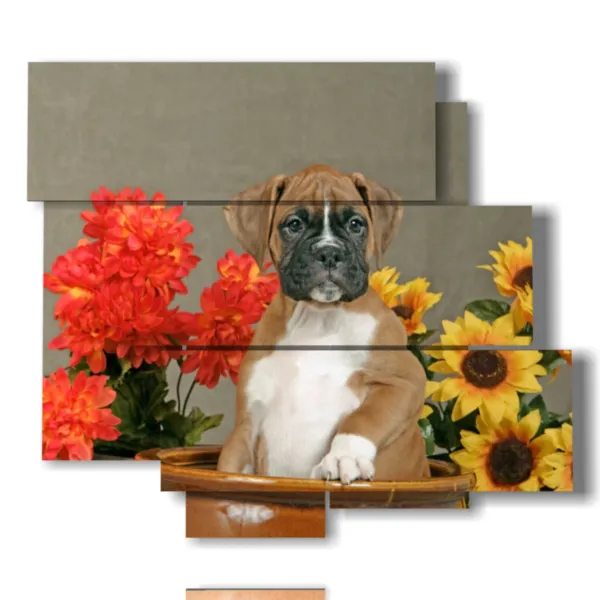 quadro ritratto cane