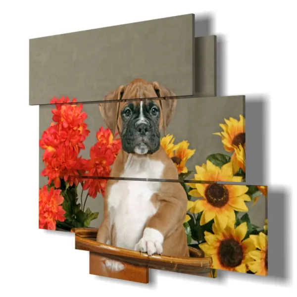 Impresiones retrato de perro