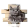 cats in paintings in a box - version: 13 pannelli 186x152cm