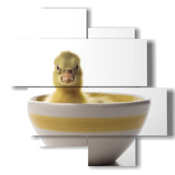 quadri animali bambini