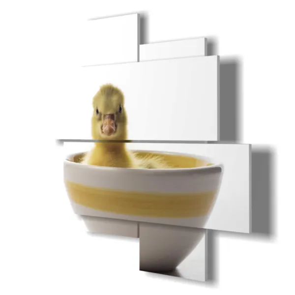 Tierdrucke für Kinder