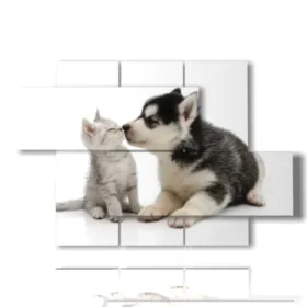 tableaux de chiens et de chats