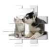 quadri cani e gatti con tanto amore - version: 12 pannelli 172x146cm