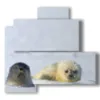 animales en los cuadros con focas - version: 4 pannelli 83x78cm