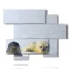 animales en los cuadros con focas - version: 6 pannelli 127x102cm