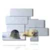 animales en los cuadros con focas - version: 10 pannelli 171x124cm