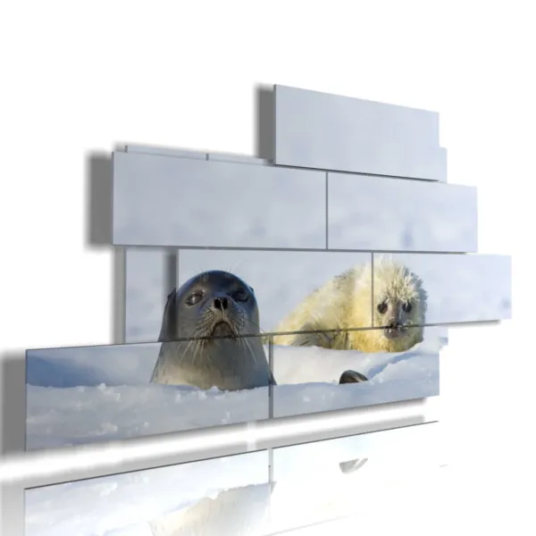 Peintures d''animaux