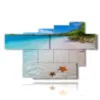 quadri mare isola caraibica con stelle marine - version: 7 pannelli 173x108cm