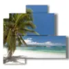 bild palmen am strand - version: 4 pannelli 83x78cm