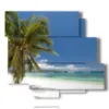 painting palm trees on the beach - version: 6 pannelli 113x99cm