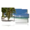 painting palm trees on the beach - version: 10 pannelli 183x100cm