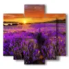 paintings lavender flowers kissed by a spectacular sunset - version: 5 pannelli 89x85cm