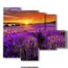 quadri fiori lavanda baciata da un tramonto spettacolare - version: 5 pannelli 104x90cm
