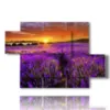paintings lavender flowers kissed by a spectacular sunset - version: 5 pannelli 128x85cm