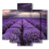 paintings with lavender flowers in a reflected sky - version: 5 pannelli 89x85cm
