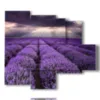 quadri con fiori lavanda in un cielo riflesso - version: 5 pannelli 104x90cm