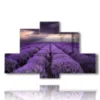 paintings with lavender flowers in a reflected sky - version: 6 pannelli 135x85cm