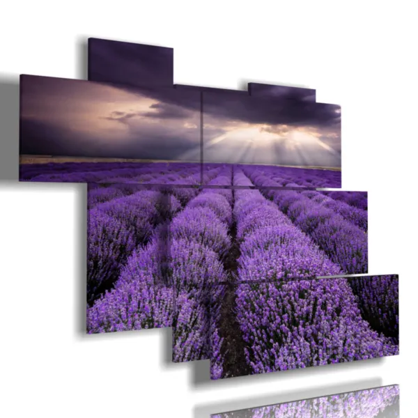 Cuadros con flores de lavanda en un cielo reflejado.