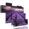 Paintings with lavender flowers in a reflected sky
