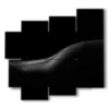 quadri donne nude nelle loro curve - version: 5 pannelli 106x98cm